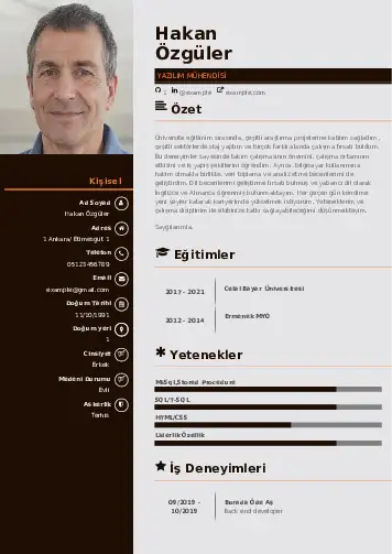 Yazılım Mühendisi Cv Örnekleri cv indir